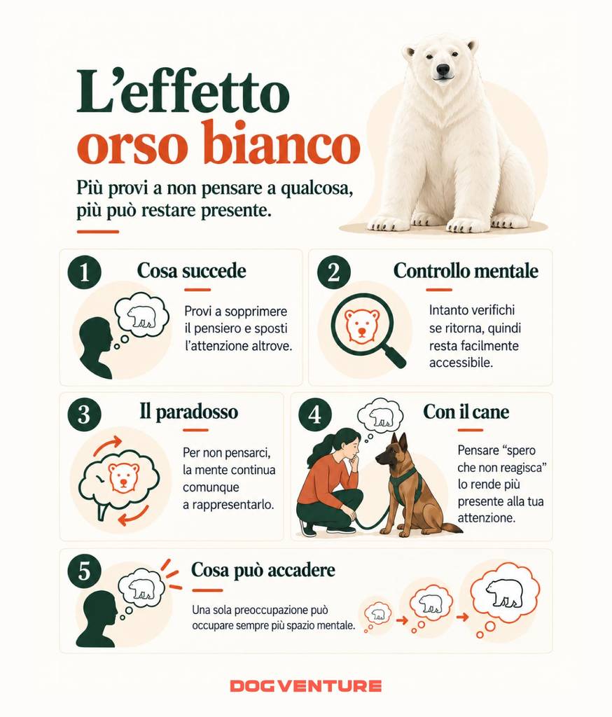 Illustrazione dell’effetto orso bianco applicato ai pensieri del proprietario durante la gestione del cane