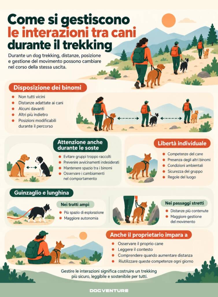 Infografica sulla gestione delle interazioni tra cani durante il dog trekking, con esempi illustrati della disposizione dei binomi lungo il sentiero, delle distanze durante le soste, dell'utilizzo di guinzaglio e lunghina e della gestione del movimento nei passaggi stretti.