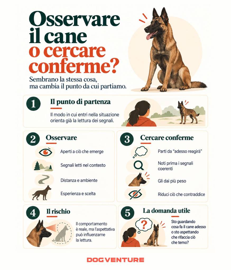 differenza tra osservare il comportamento del cane e cercare conferme delle proprie aspettative