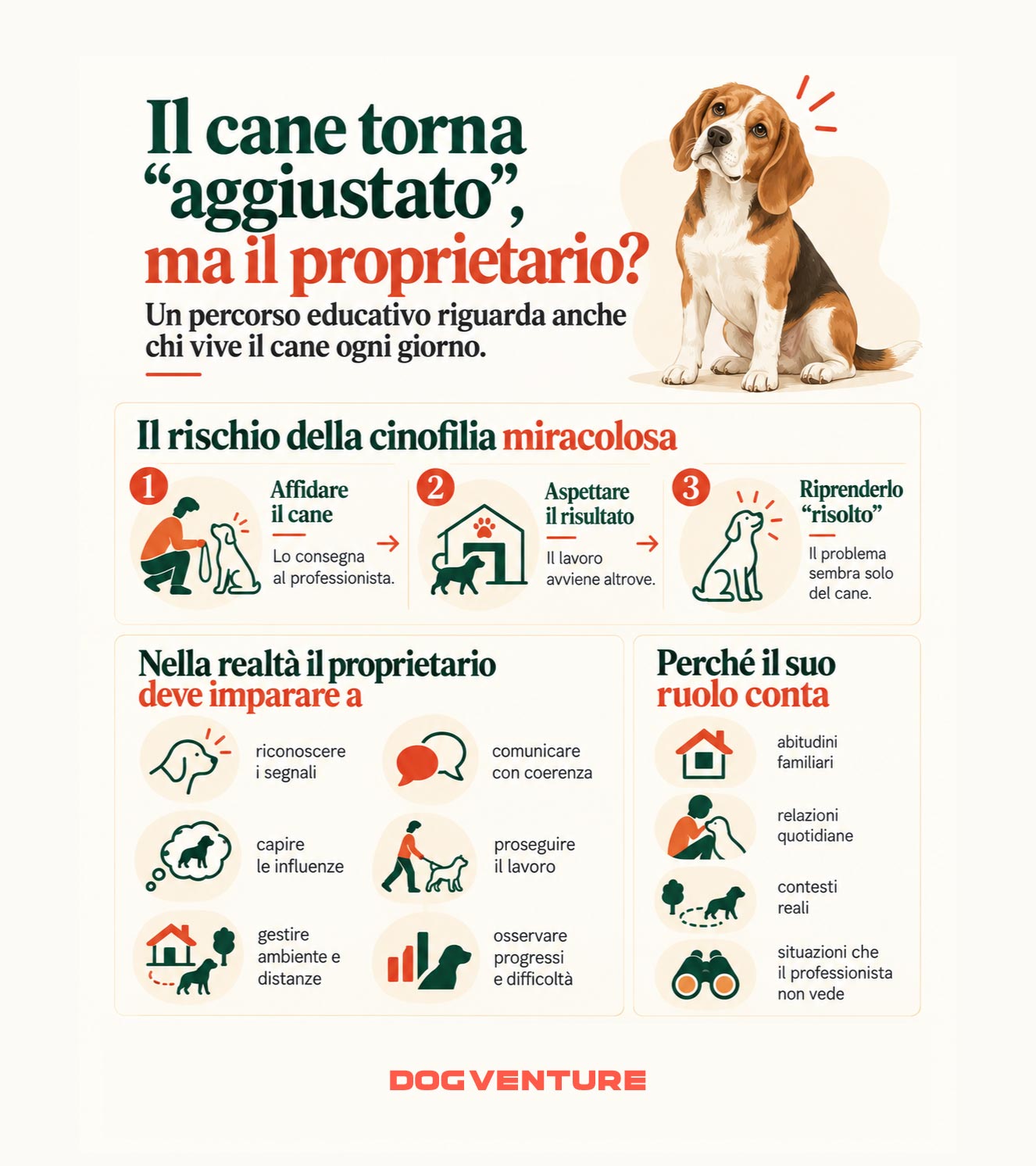 Infografica sul ruolo del proprietario nell'educazione cinofila, che illustra i limiti dell'affidare il cane al professionista senza coinvolgere la famiglia e l'importanza di imparare a riconoscere i segnali, gestire le situazioni quotidiane e proseguire il percorso educativo.